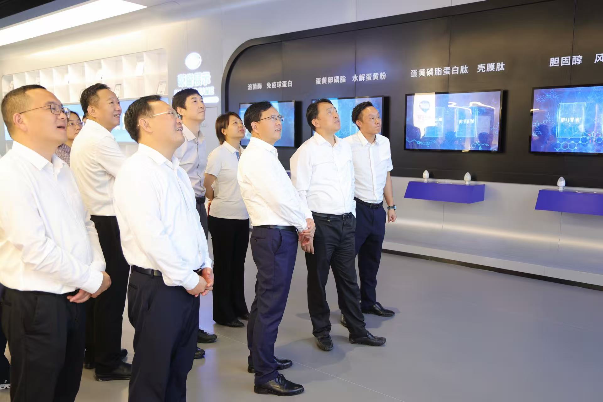 楊良鋒一行赴紅安縣調(diào)研